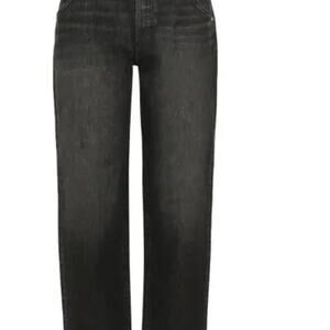 NWT Daily Blue by AdrianoGoldschmied Mantra Wide Barrel Jean in Onyx Sz 29 $295